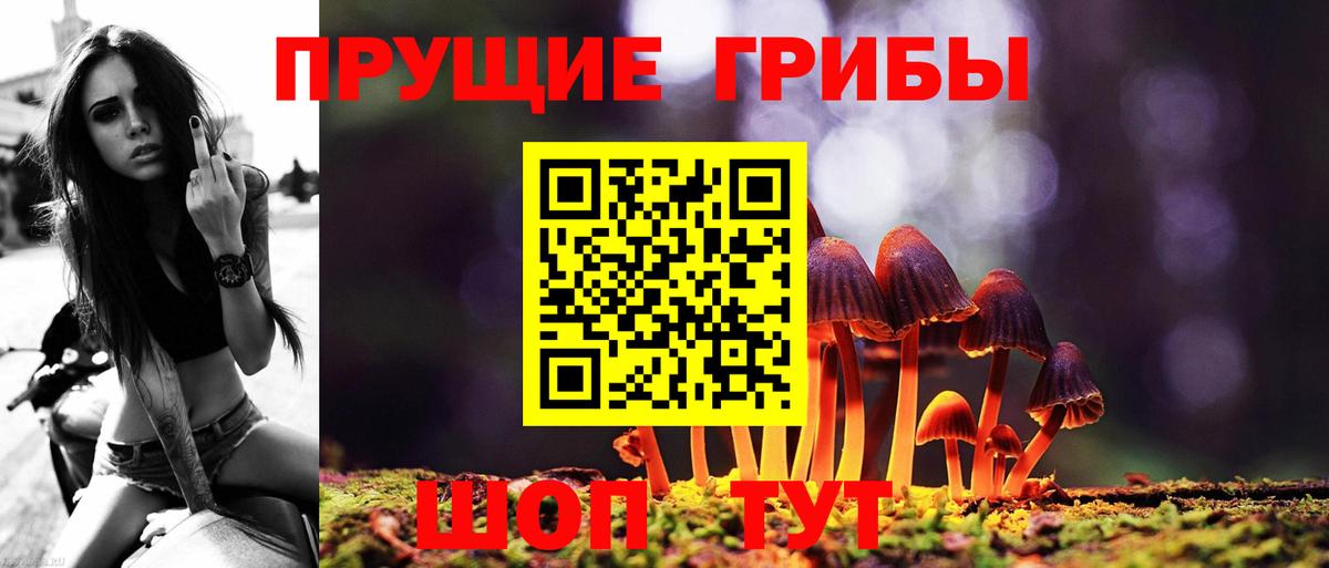 Псилоцибиновые грибы мухоморы Белово